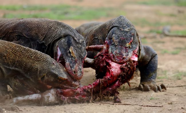 ��Ħ���������滹���� ����Ϊʲôû���