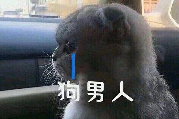 ��������ܹ���ʲô��˼ ����ĺܹ���ʲô��