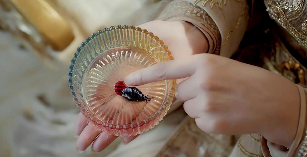 �Ƴ�ͼƬ��ʲô �����Ƴ���ʵ������