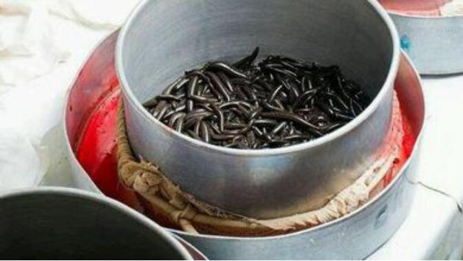 �Ƴ�ͼƬ��ʲô �����Ƴ���ʵ������