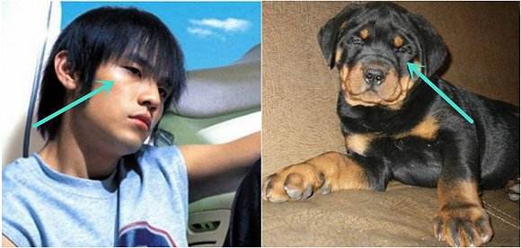 �ܽ����˭ �ܽ��ױ���˿��Ц���ܽ��