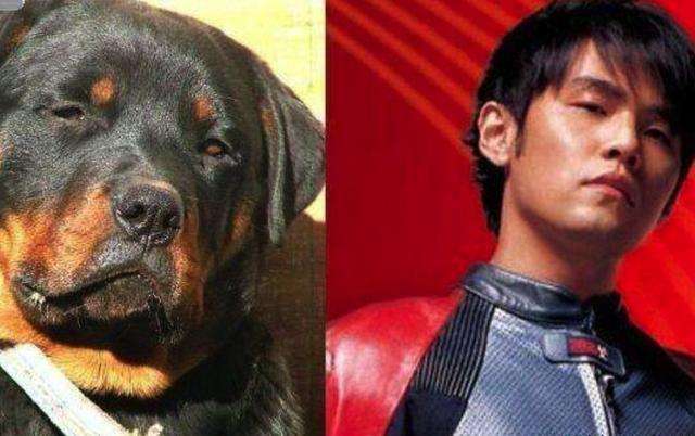 周结巴是谁 周杰伦被粉丝们笑称周结巴