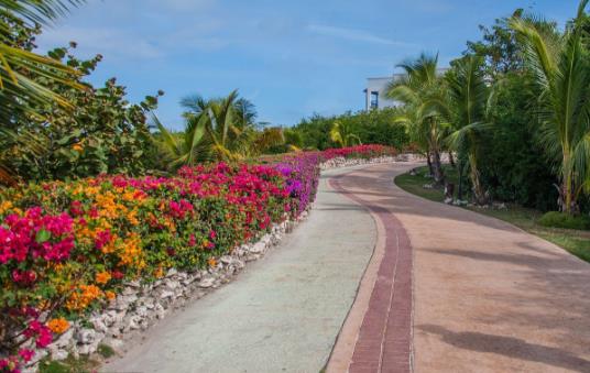 �߻�·��ʲô��˼ ������˼�����л���·