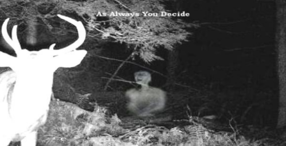 ������µĲ�������ͼƬ ������ʮ�����صĲ�������