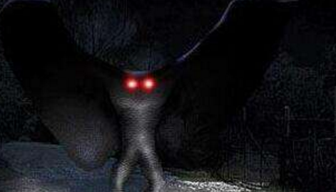 ������µĲ�������ͼƬ ������ʮ�����صĲ�������