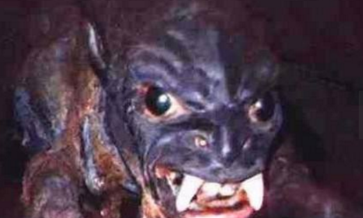 ������µĲ�������ͼƬ ������ʮ�����صĲ�������