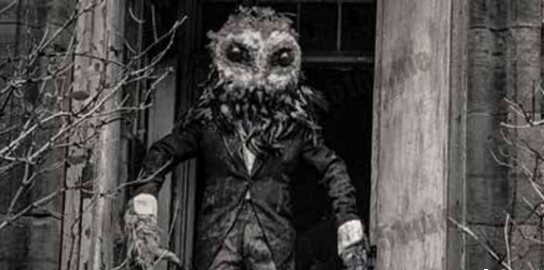 ������µĲ�������ͼƬ ������ʮ�����صĲ�������