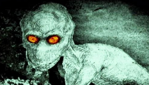 ������µĲ�������ͼƬ ������ʮ�����صĲ�������