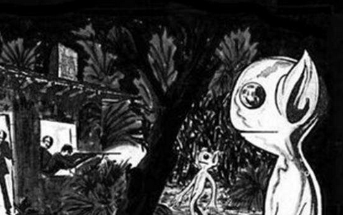 ������µĲ�������ͼƬ ������ʮ�����صĲ�������