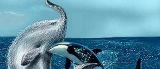 ������µĲ�������ͼƬ ������ʮ�����صĲ�������