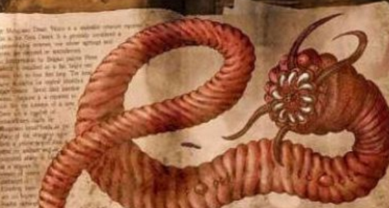 ������µĲ�������ͼƬ ������ʮ�����صĲ�������