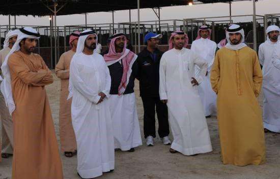 ȥ�ϰݿ��Լ��������� �ϰ����������׷�й�Ů����ĳĳ��