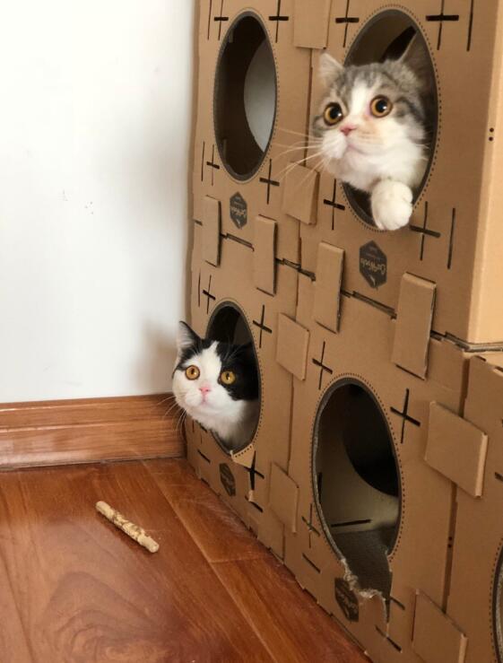 è�ķ�Ӧ�ٶ��ŵڼ� ����Ȼ��Ӧ������ʮ���Ժ�