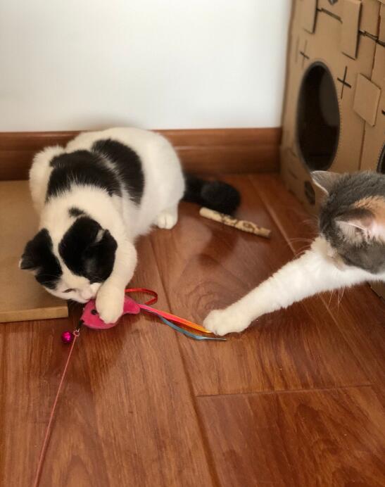 è�ķ�Ӧ�ٶ��ŵڼ� ����Ȼ��Ӧ������ʮ���Ժ�