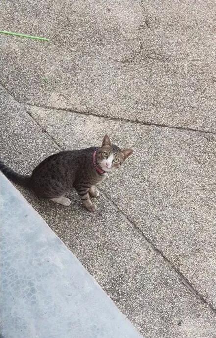 è�ķ�Ӧ�ٶ��ŵڼ� ����Ȼ��Ӧ������ʮ���Ժ�