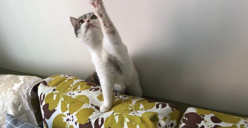 è�ķ�Ӧ�ٶ��ŵڼ� ����Ȼ��Ӧ������ʮ���Ժ�