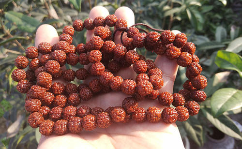 �����ִ����ĸ����Ϻ� ������ɮ����ʲô���ϵķ���