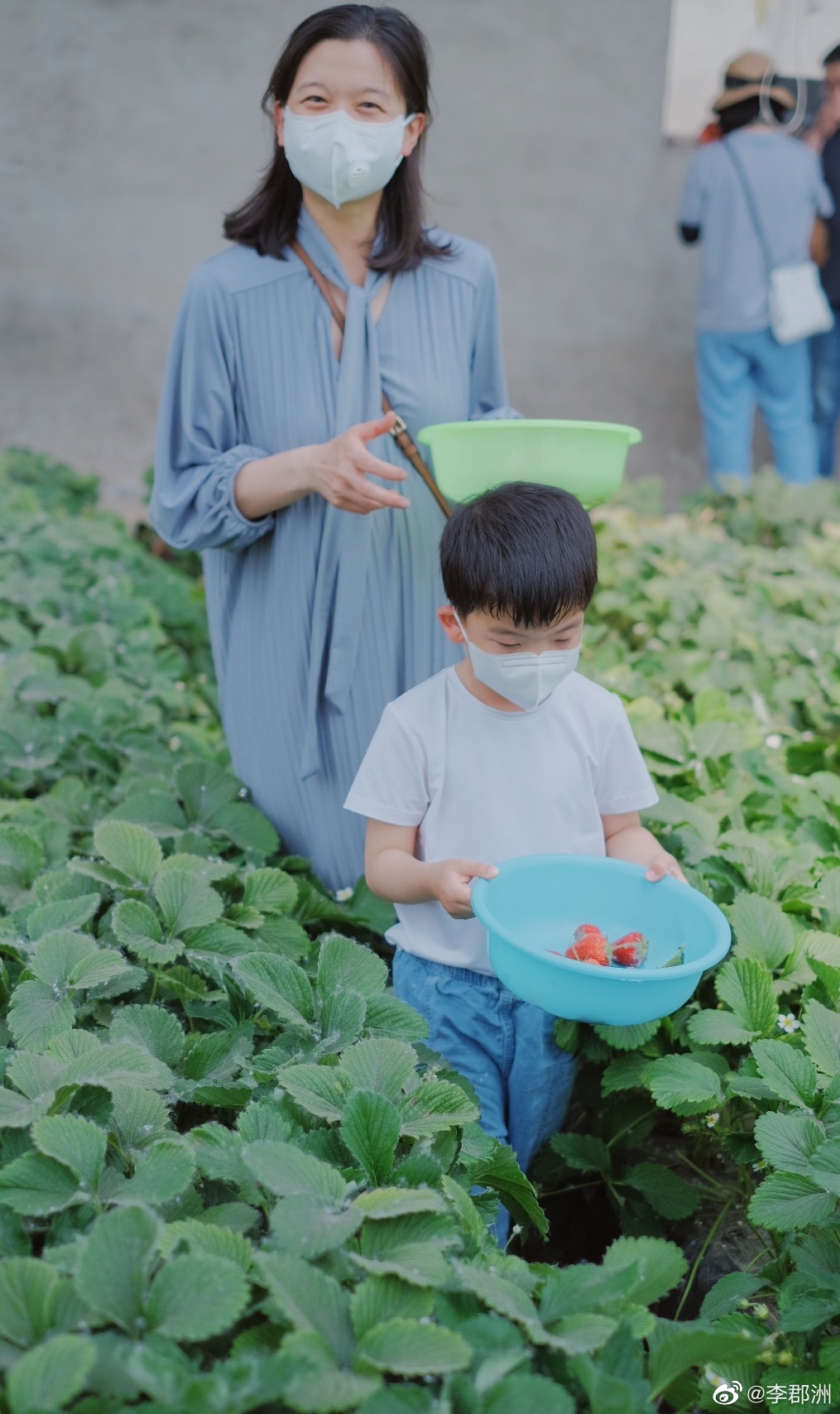 ��޺������� ��ô˹Ӣ����ôд��ʲô��˼