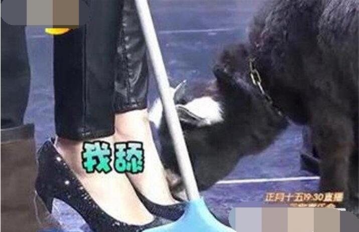 ����ŵĴº���ô���� �������������ô����