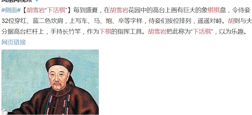 胡雪岩活象棋什么意思 活象棋是怎么下的