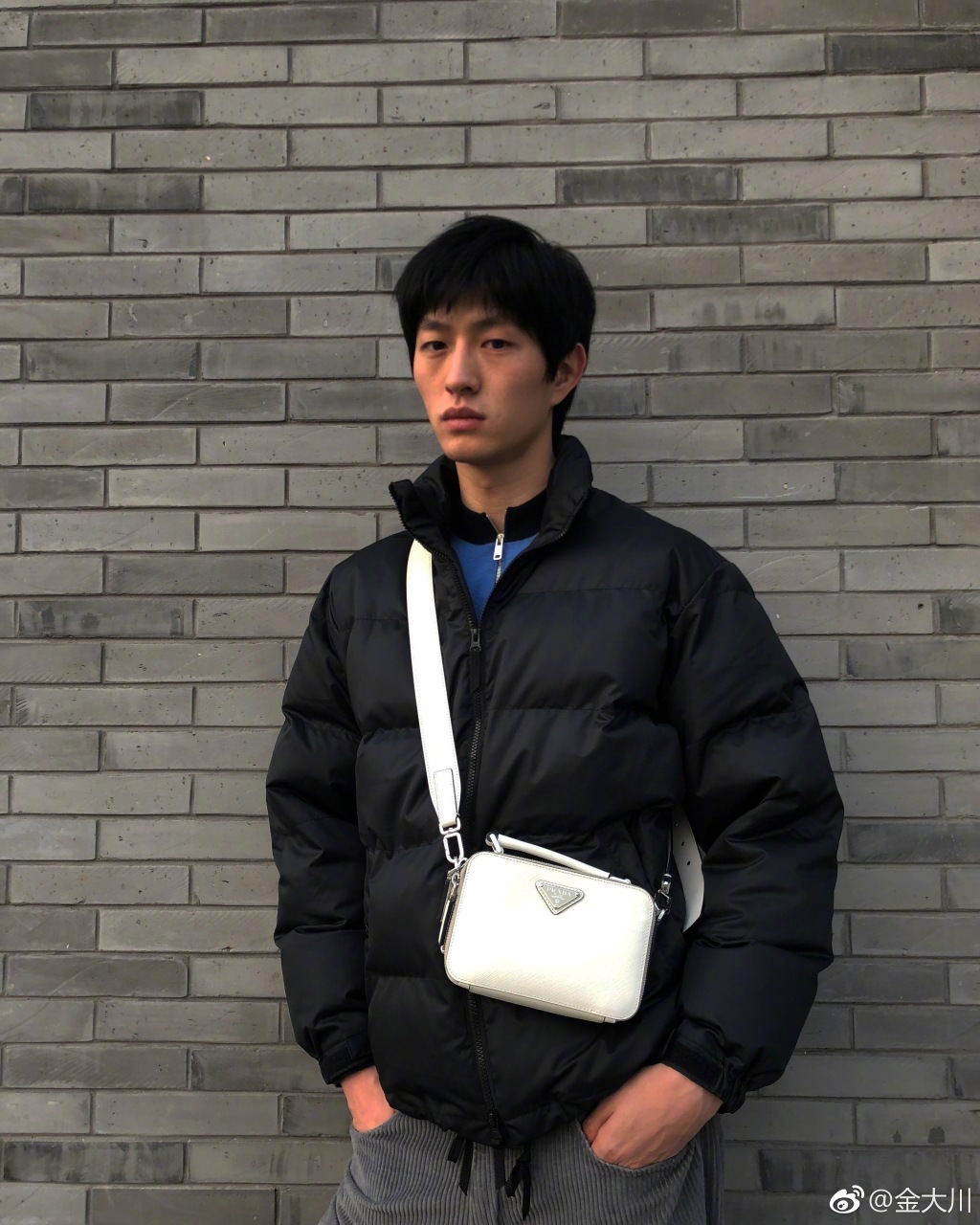 金大川是泰安哪里的 金大川项偞婧爱情故事以及分手原因