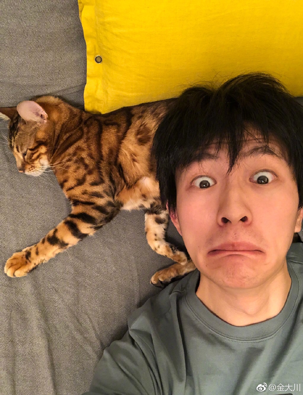 �����̩������� ����溰�������Լ�����ԭ��