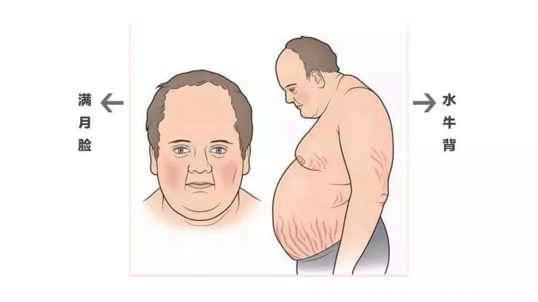 ������ˮţ����ͼƬ ��������ʲô�����µ�