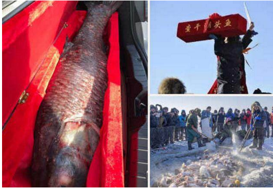 ��ɺ�����ͷ��۸�� ��ɺ�������ƭ����