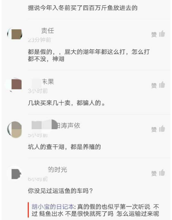 ��ɺ�����ͷ��۸�� ��ɺ�������ƭ����