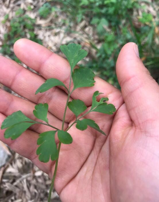 �ϳ��ݳ��˻������� �����ǵ�ָ��һ�ֲ�