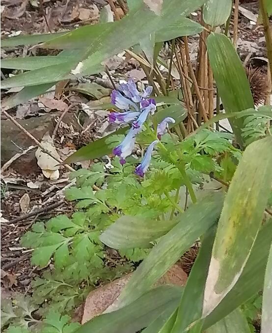 �ϳ��ݳ��˻������� �����ǵ�ָ��һ�ֲ�