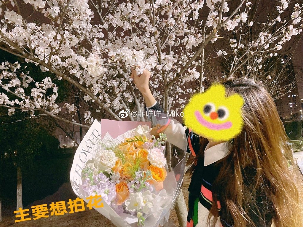 ������ף�����İ� ������Ϊʲô��3��22��