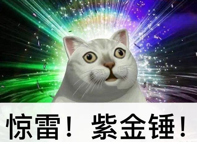 ����Ϊʲô�����ո��� ������˭�����ĺ���