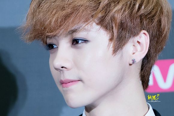 ¹����׳ʵ��ʲô�� ¹���������ﳪ�ĸ���ʲô