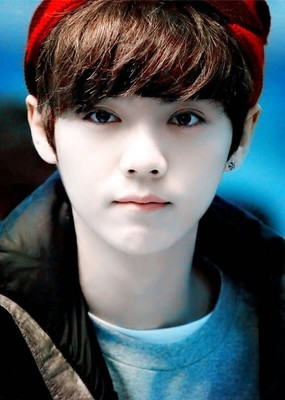 ¹����׳ʵ��ʲô�� ¹���������ﳪ�ĸ���ʲô