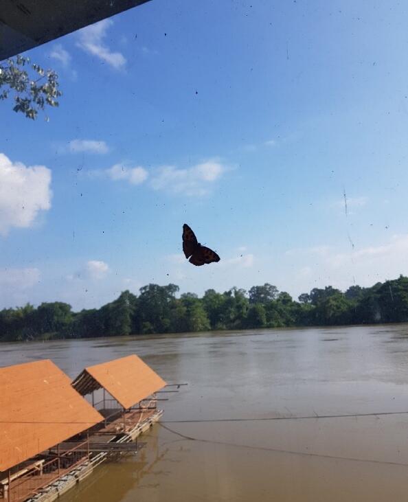 ��������ʲô����ͼƬ ���־͸���һ�ֺܲ��õĸо�