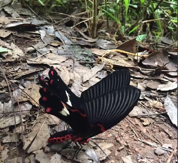 ��������ʲô����ͼƬ ���־͸���һ�ֺܲ��õĸо�