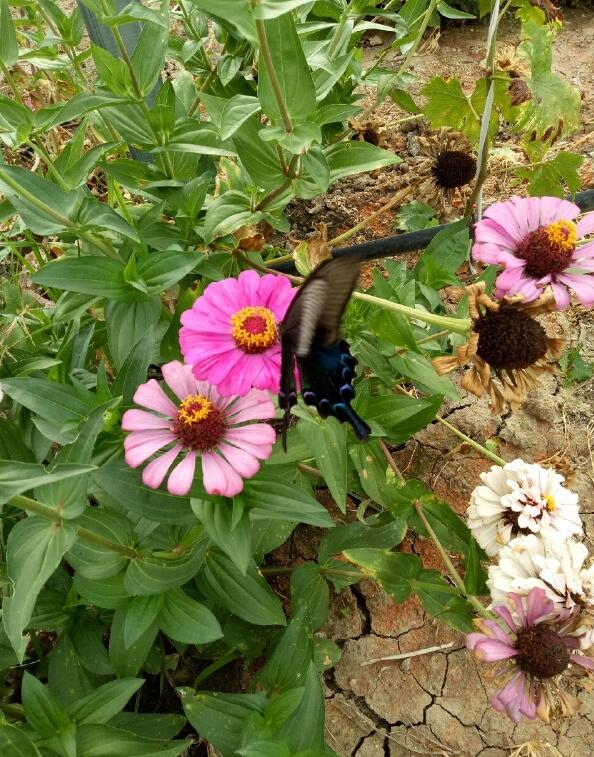 ��������ʲô����ͼƬ ���־͸���һ�ֺܲ��õĸо�