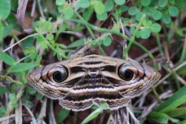 ��������ʲô����ͼƬ ���־͸���һ�ֺܲ��õĸо�