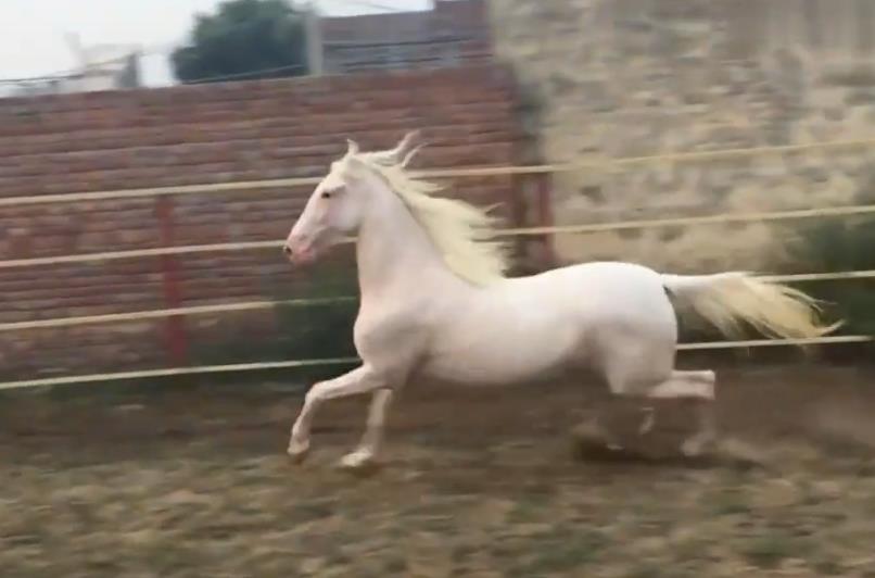 ��������ʲô�������� ����Ϊʲô�ټ����