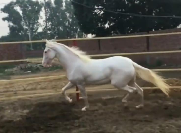 ��������ʲô�������� ����Ϊʲô�ټ����