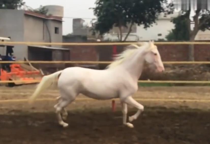 ��������ʲô�������� ����Ϊʲô�ټ����