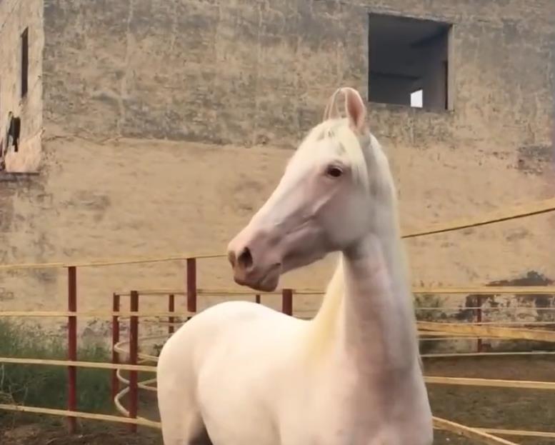 ��������ʲô�������� ����Ϊʲô�ټ����