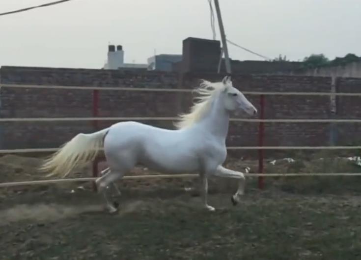 ��������ʲô�������� ����Ϊʲô�ټ����