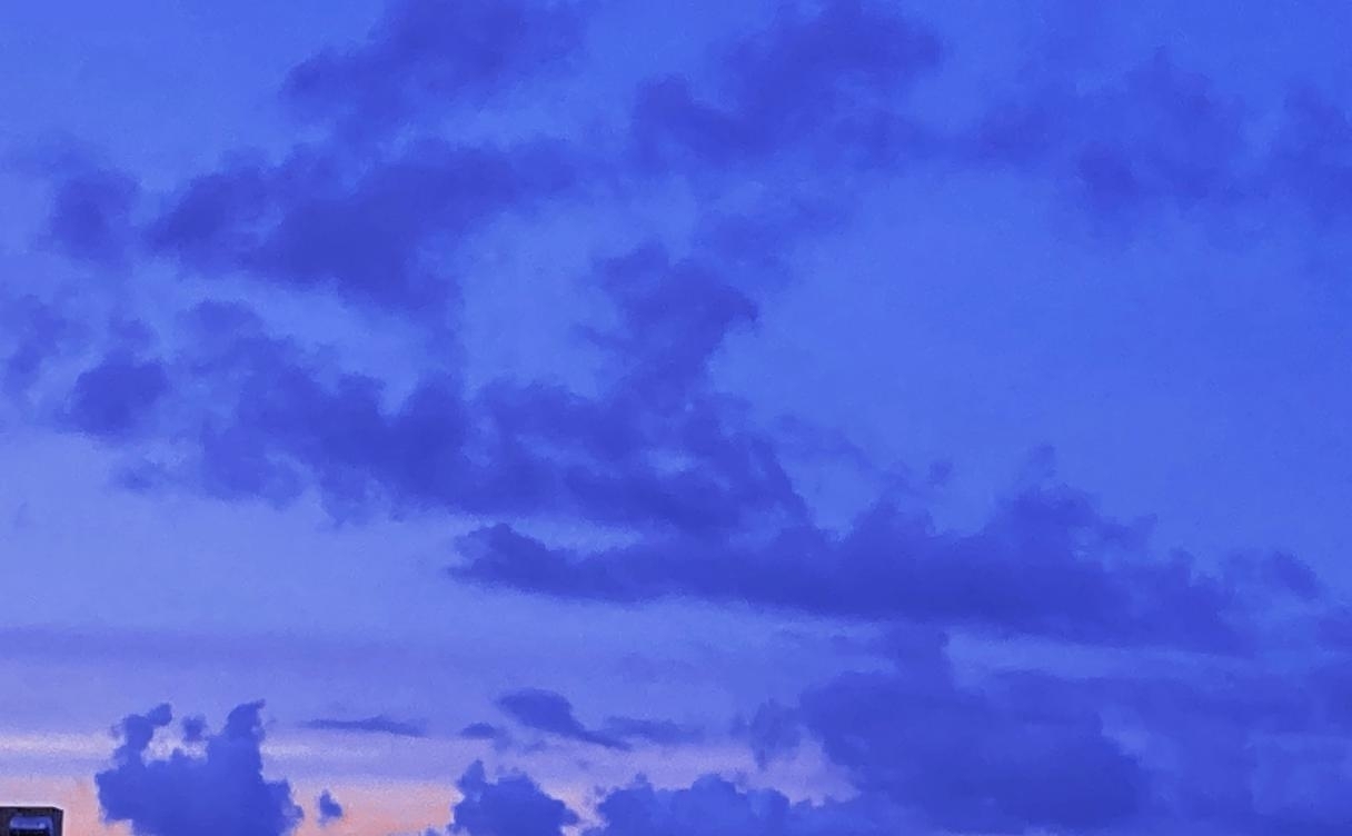 ��������21����ʲô��˼ ����������������ͫ�׵���ɫ���