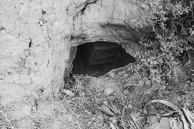 ��Ĺ����������ò��� ���ַ�Ĺ����������Ԥʾ��ʲô