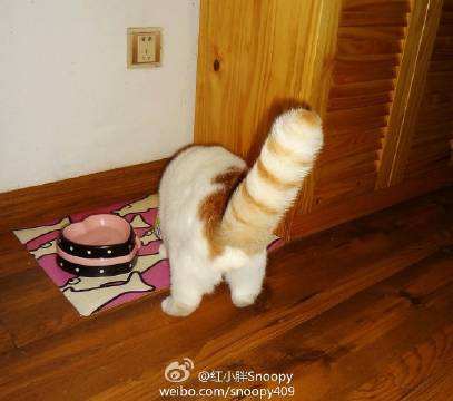 ��������ô���� һ�������˱Ƚ����׳���