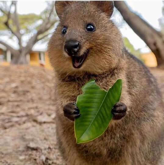 ��β�������Ӻ���������� ��������һ�ȵ��˿�����ĵز�