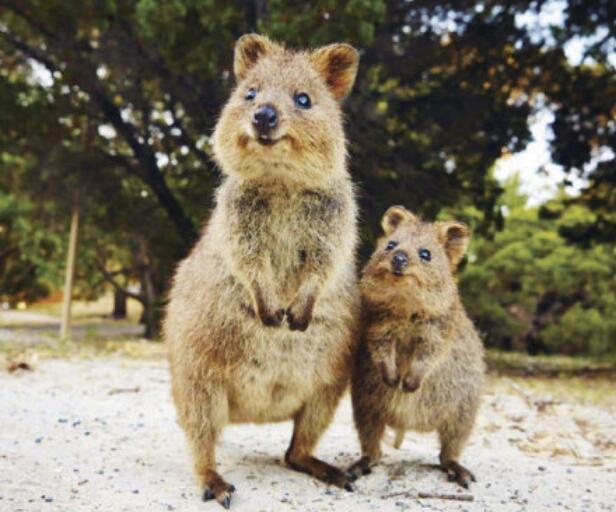 ��β�������Ӻ���������� ��������һ�ȵ��˿�����ĵز�