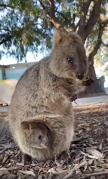 ��β�������Ӻ���������� ��������һ�ȵ��˿�����ĵز�